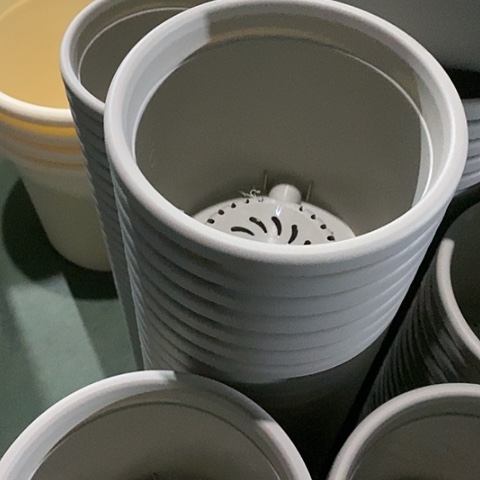 树脂四季2号灰白无托20个微瑕