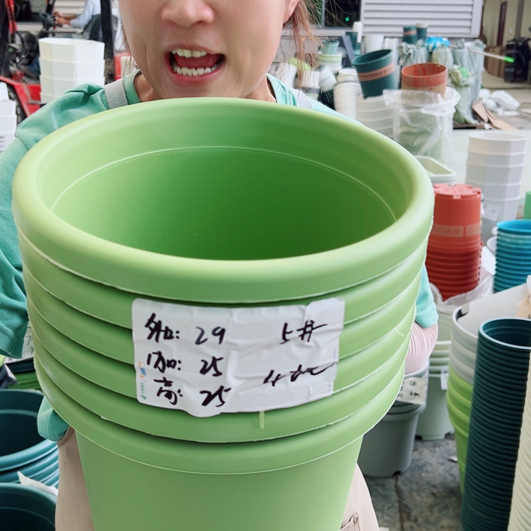 四季盆5#果绿色6个无托