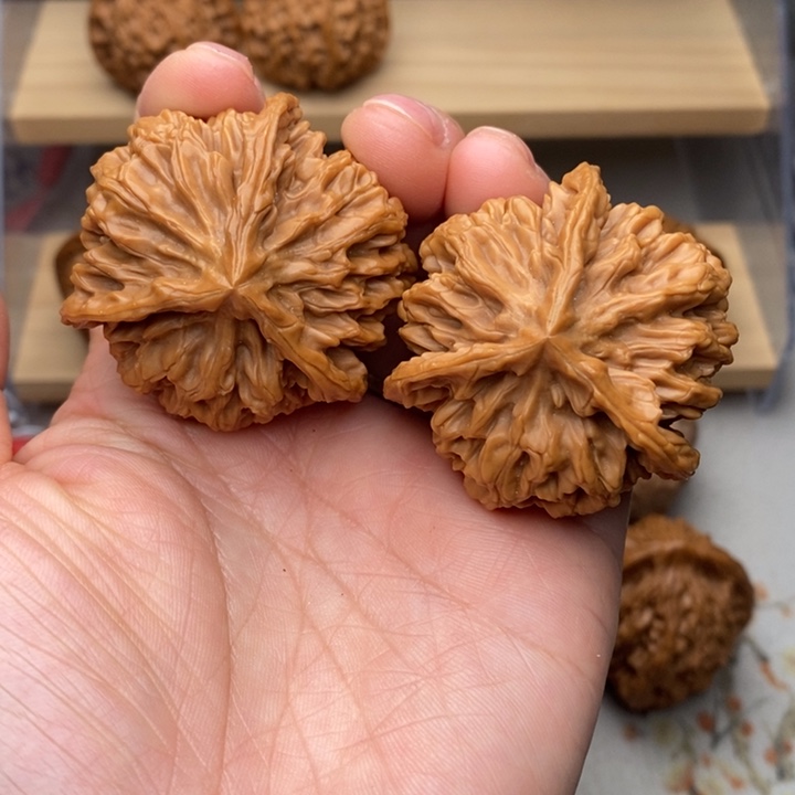 把件核桃文玩核桃帝王奔