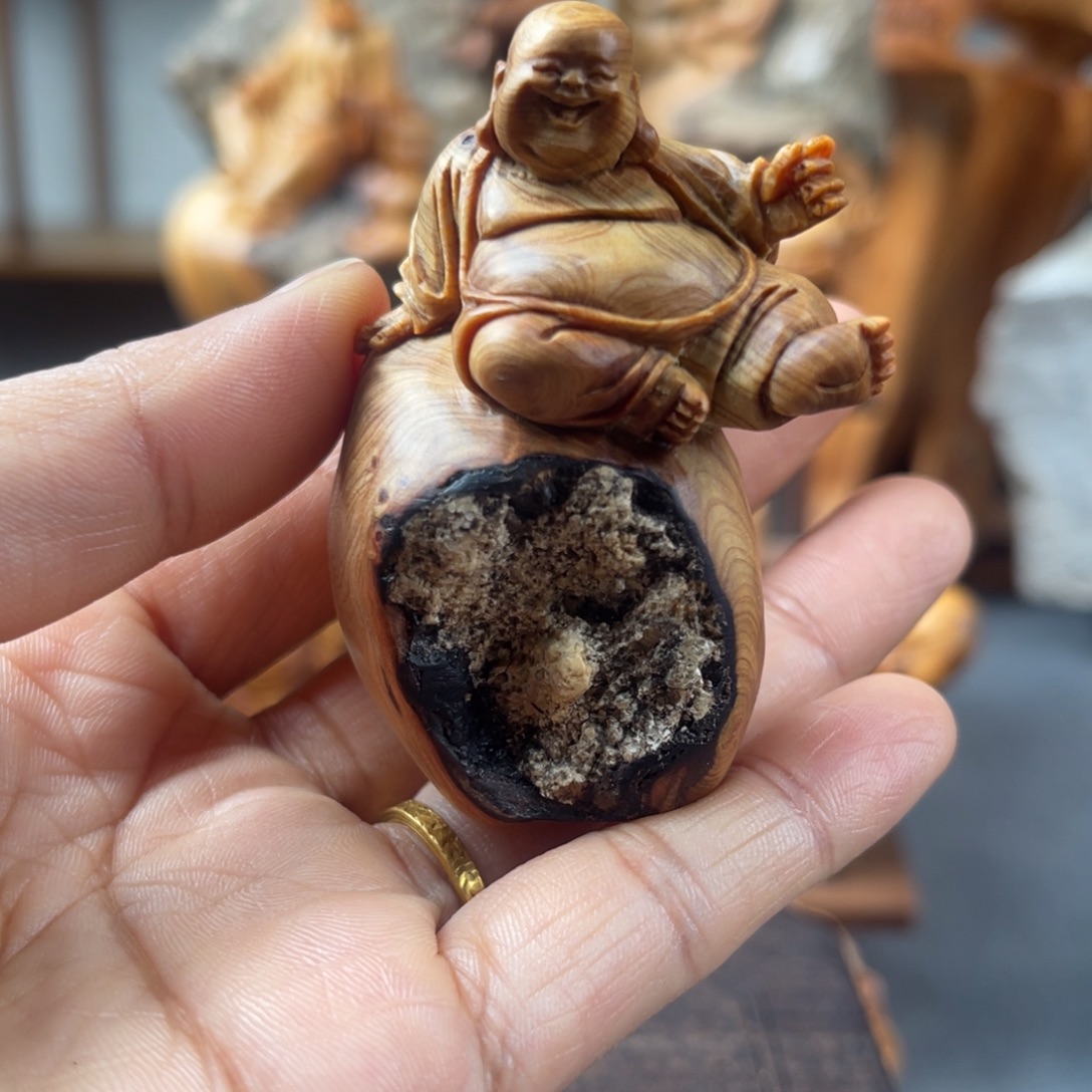 柏木（崖柏）崖柏太行山脉