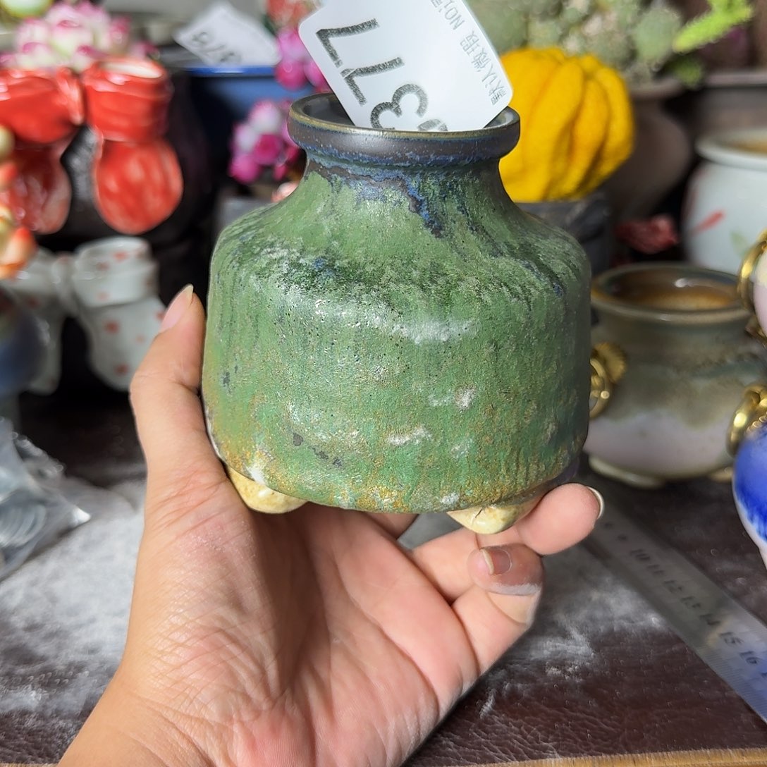 重庆小燕子欢迎大家，377