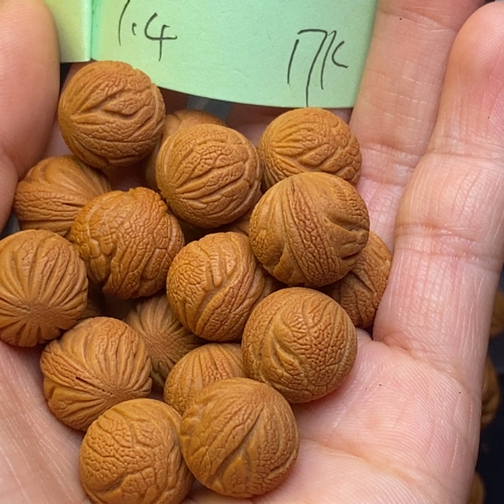 桃核吊坠秦岭龙纹桃核14尺寸