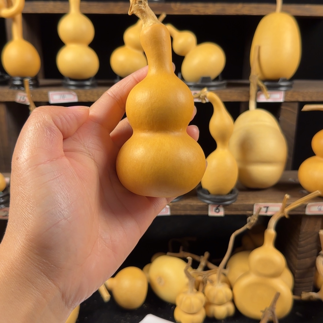 暴***熊葫芦葫芦葫芦葫芦葫