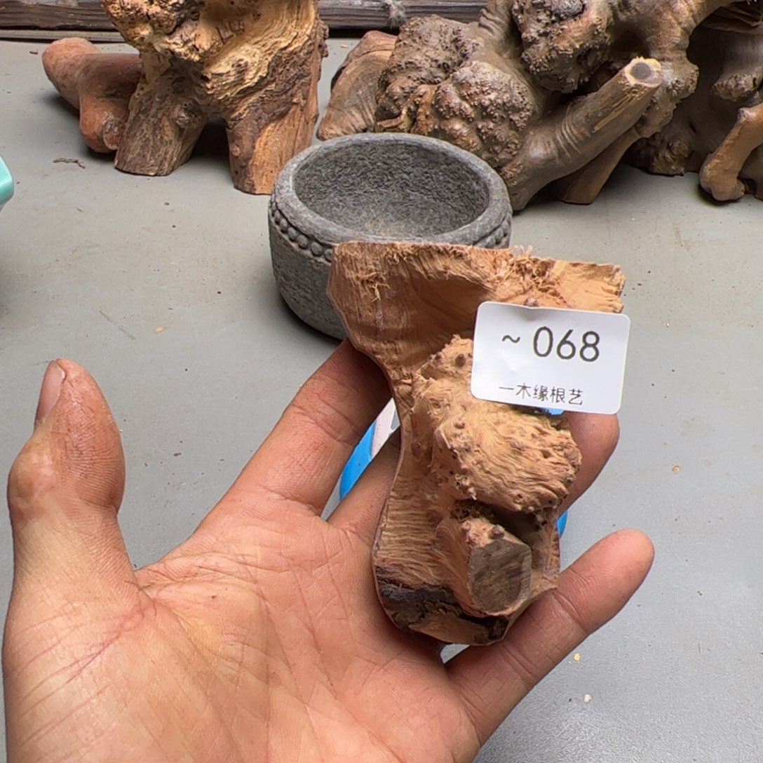 扶***摇无花朵            68