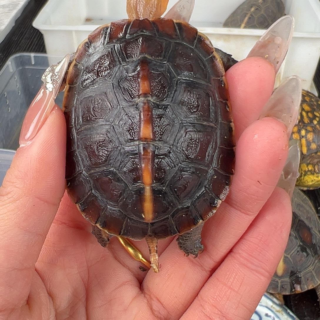 母?***学安缘啦啦啦啦啦啦啦