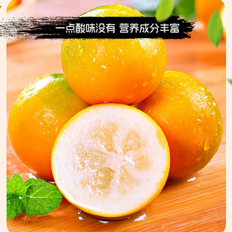 水果脆金桔13.6元/盒