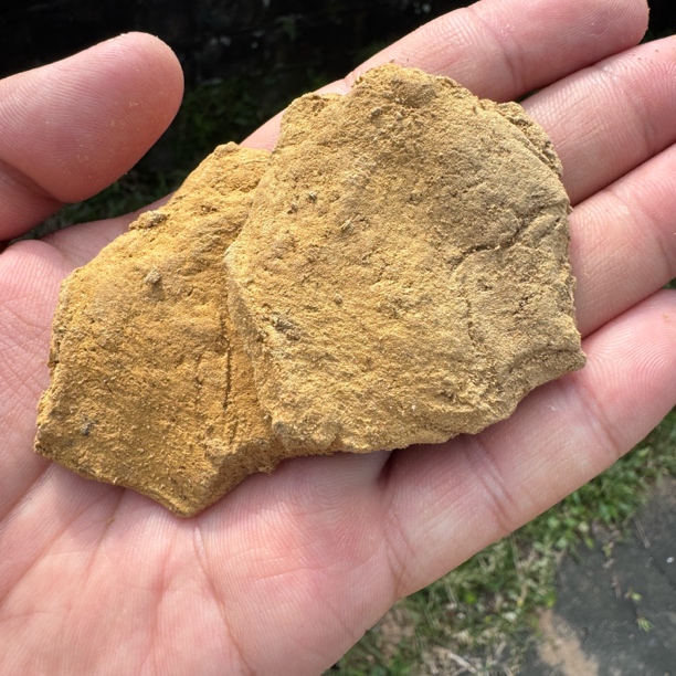 海南棋楠线香原料丑香片