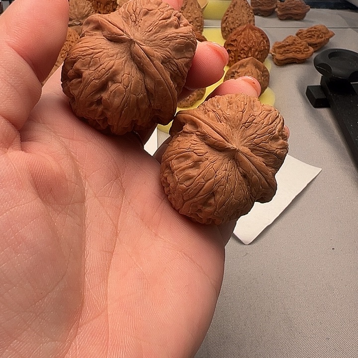 大叶紫檀（黑酸枝木类）元宝