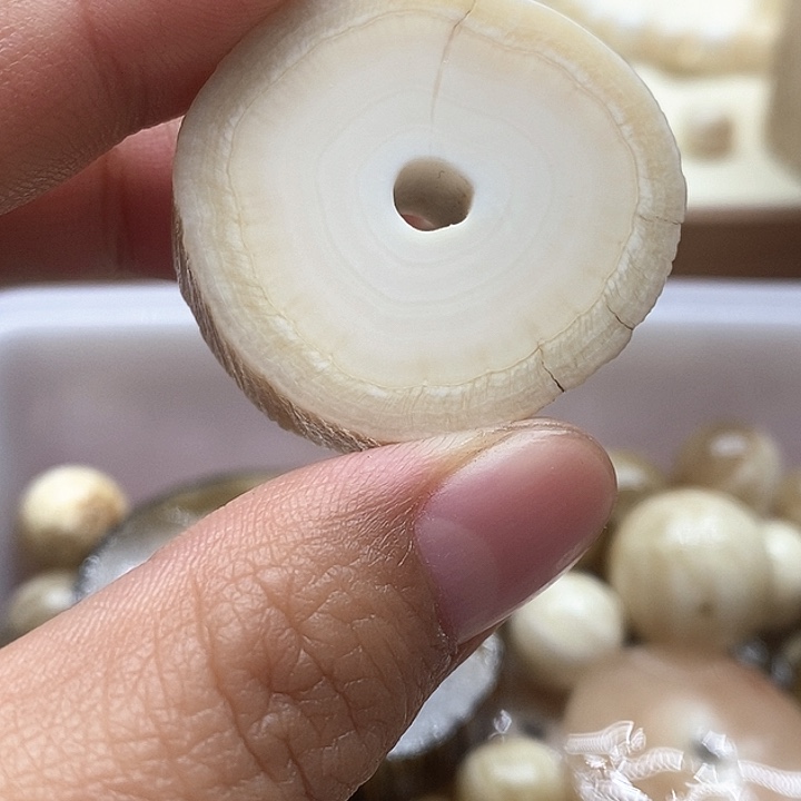 贝壳手串/手链特价切片