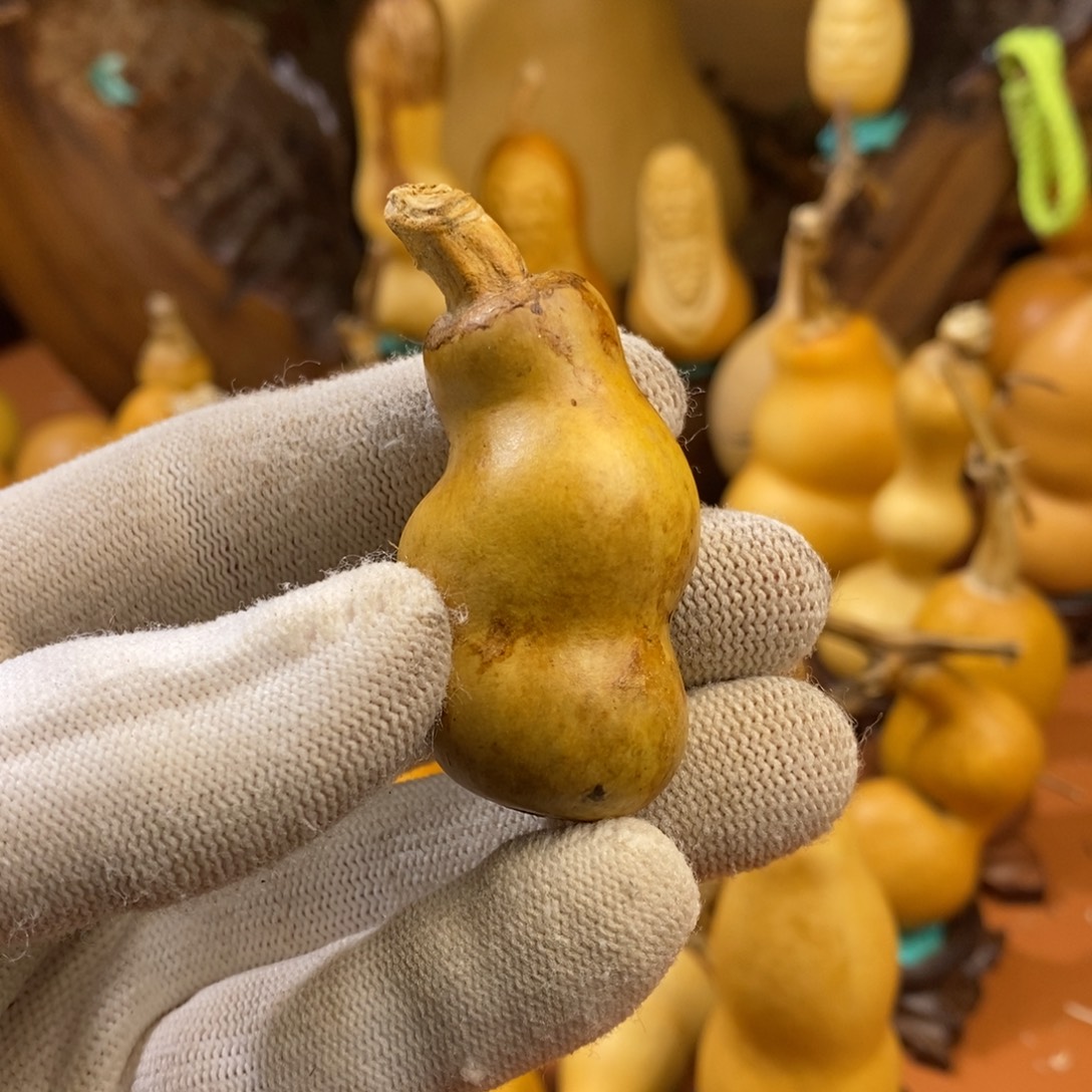 瑞***禄教练咯哦哦哦哦哦哦嘛