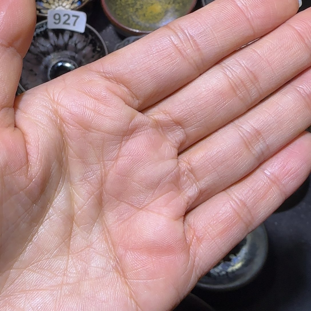 向***走茶盏福建盏茶器着