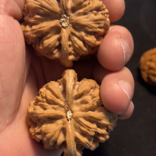 把件文玩核桃47粗筋