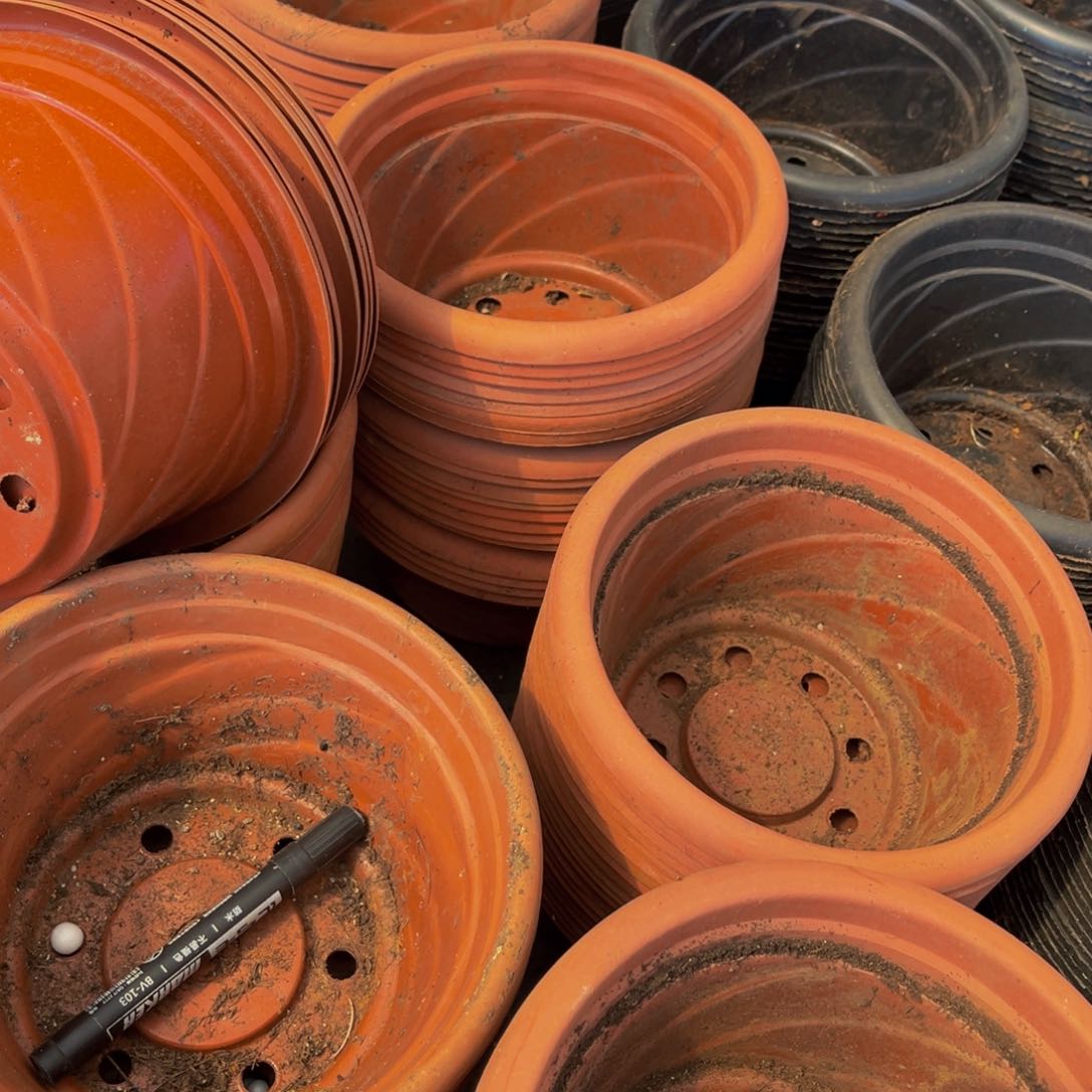 旧口径21高12红螺旋盆20个