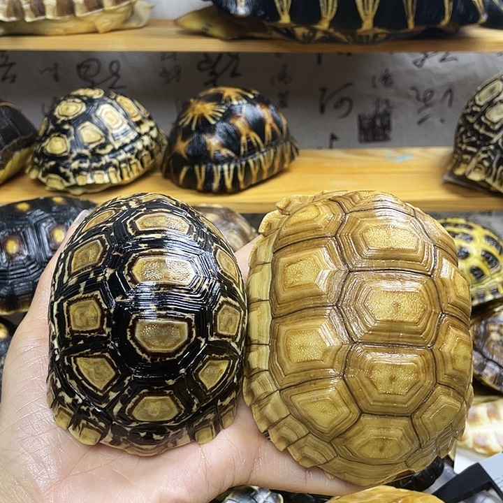 *****三醋酯纤维的黑科技股份毕竟每次v斤斤计较