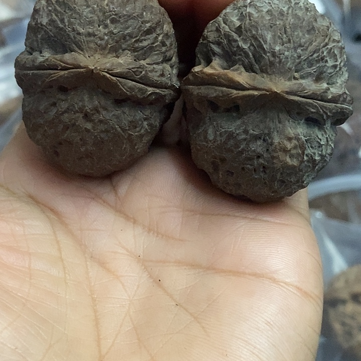 把件文玩核桃云南铁核桃基地11