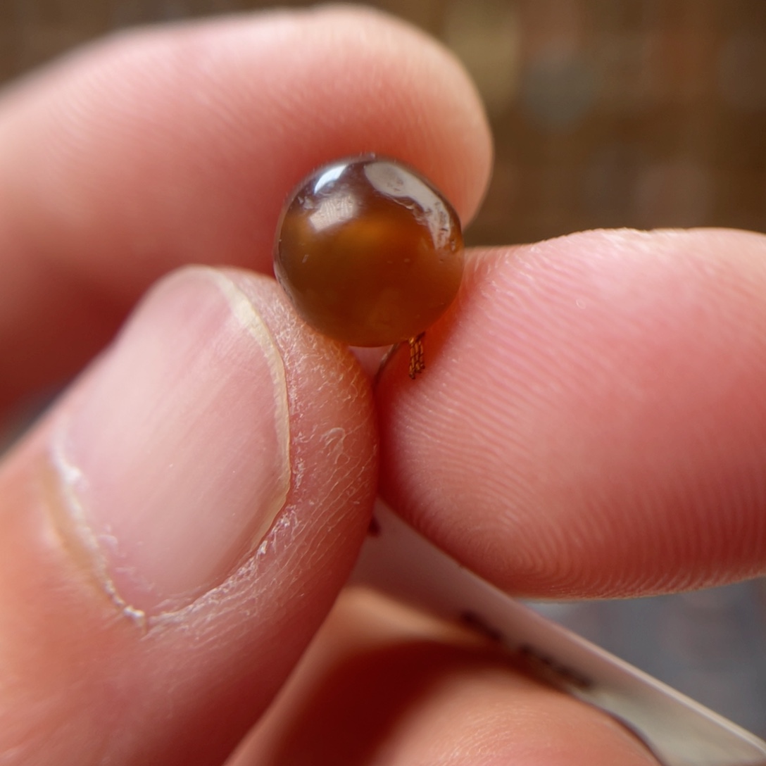 玛瑙/玉髓吊坠(不含链)未镶嵌