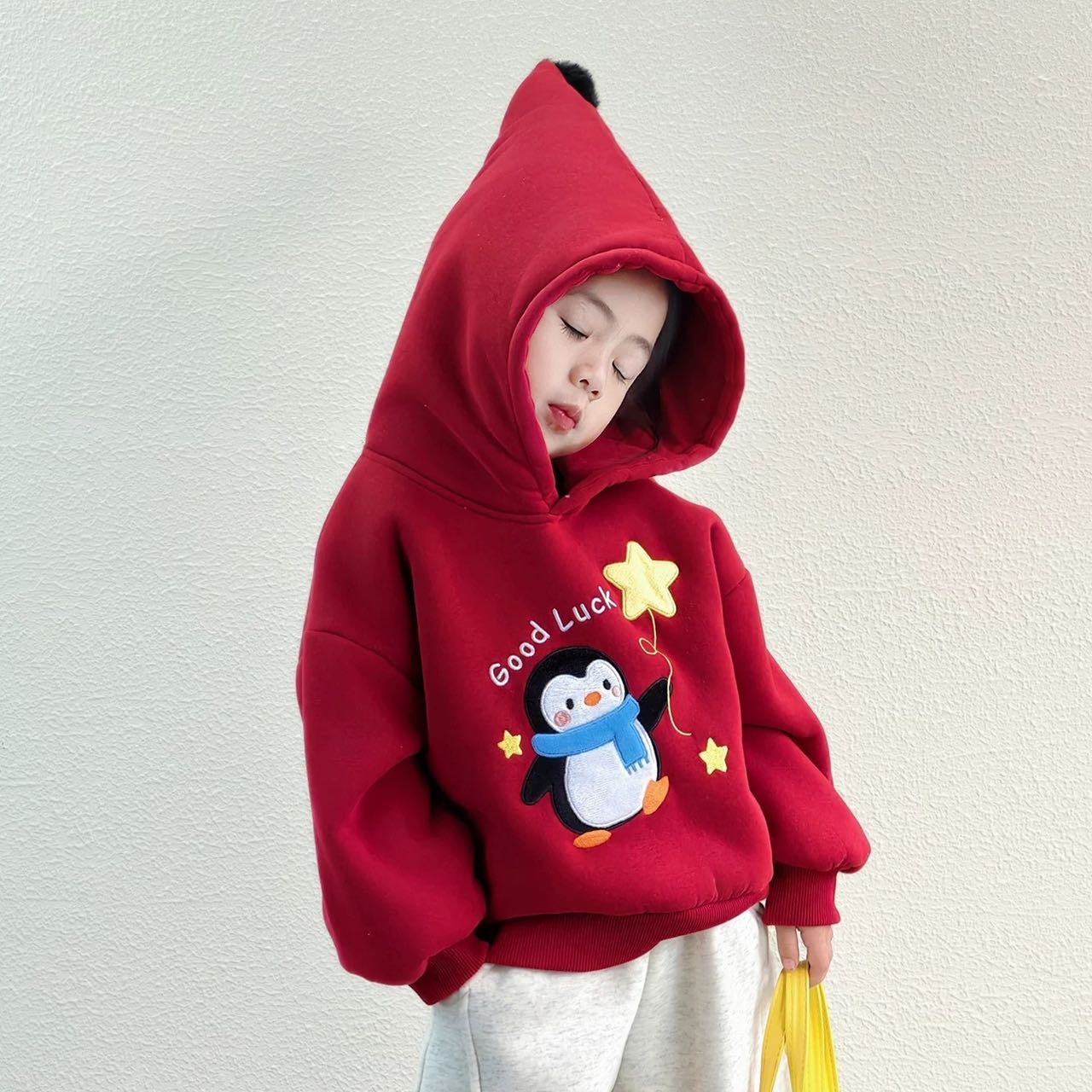 厚款儿童衣服冬季连帽卫衣加绒童装H0711