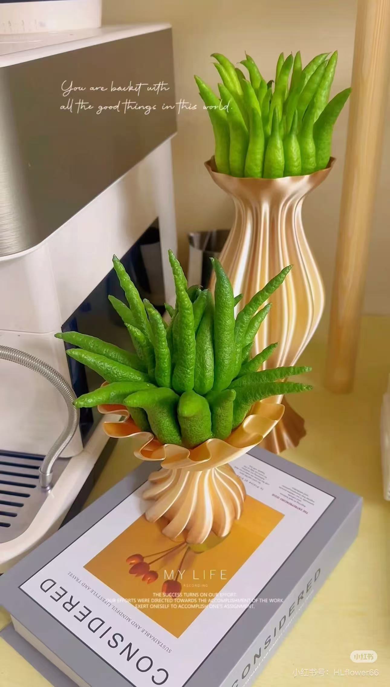 一物一拍，云南高山佛手，观赏，闻香大佛手柑