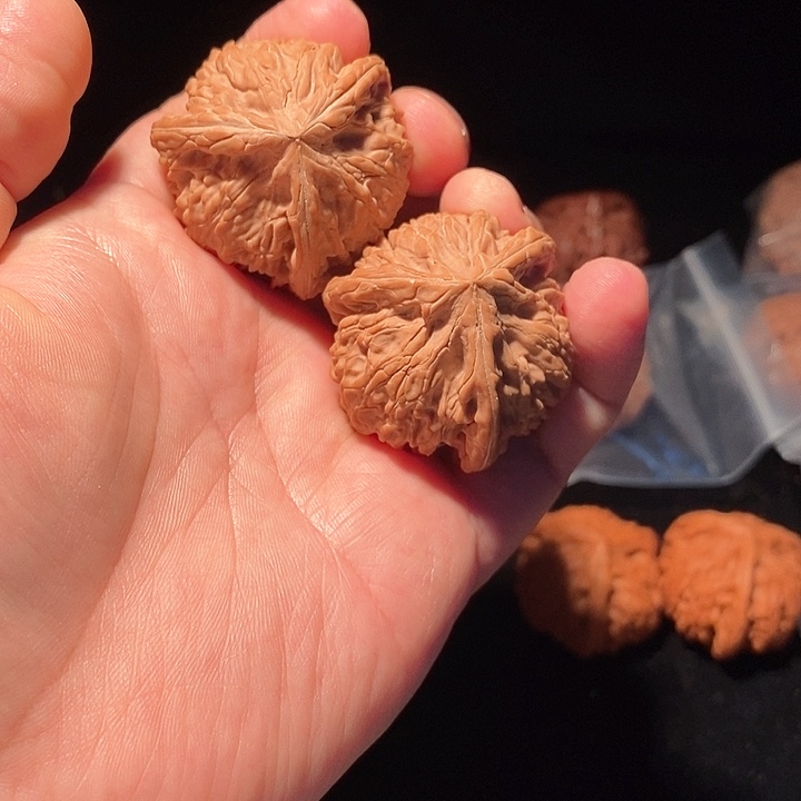 精**生40御龙粗筋正球奔精品