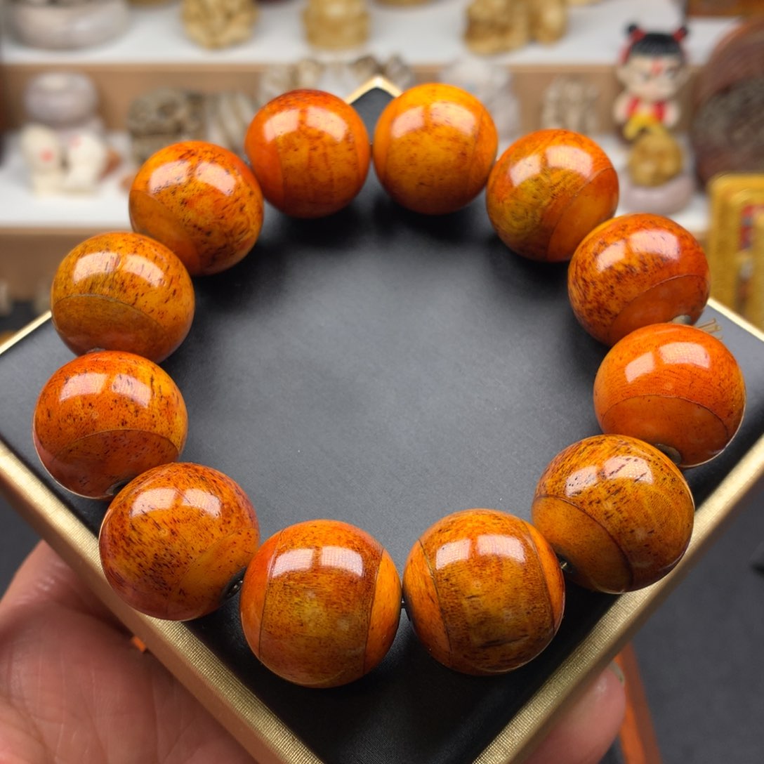 其他牛骨20牛骨单圈