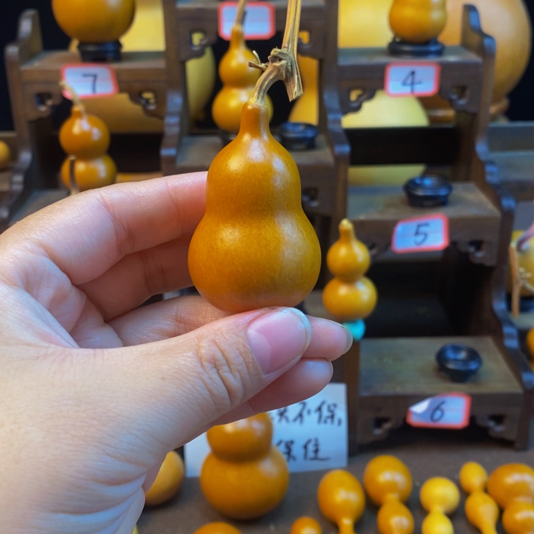 P***e木咕噜咕噜咕噜咕噜