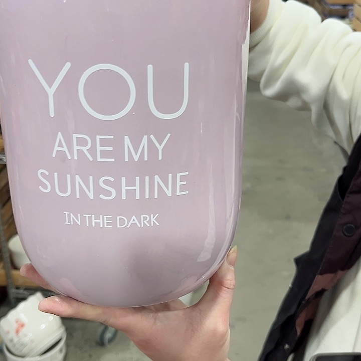 陶瓷陶瓷多肉植物花盆