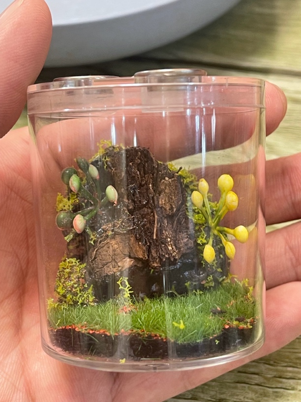 有机手握式生态罐  仿真造景随机配紫腹青竹蛉 也可当桌面微景观