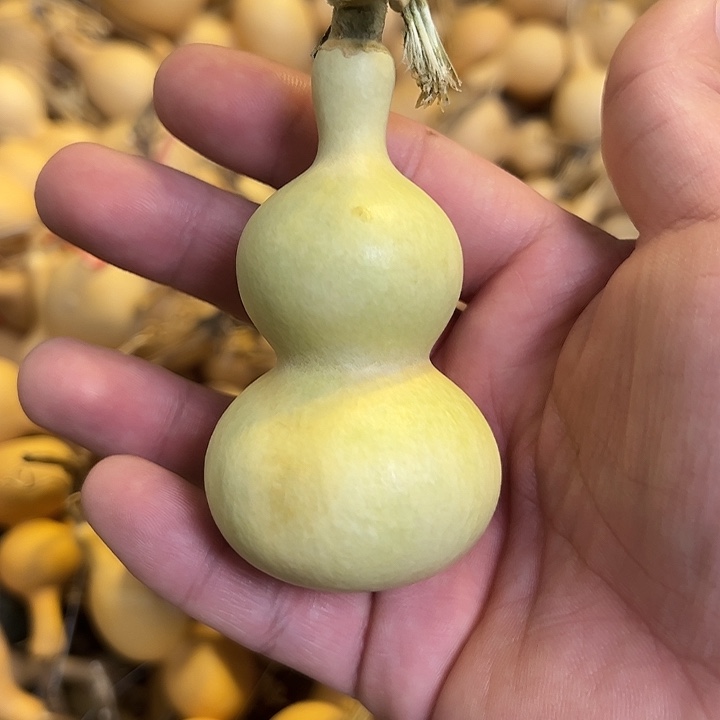 风****有机玻璃蚂蚁蚂蚁蚂蚁蚂蚁