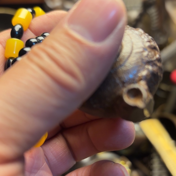 铜123312335665666565