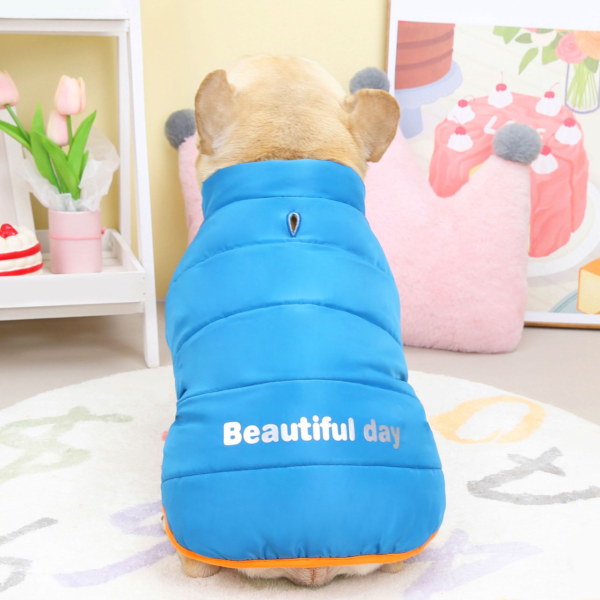 斗牛犬沙皮犬巴哥犬宠物狗狗衣服秋冬新款宠物棉衣斗牛美好生活