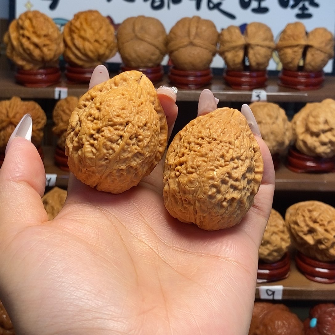 核桃43铁龙珠11111