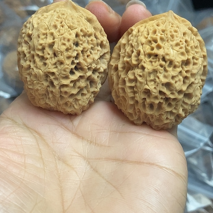 把件文玩核桃云南铁核桃基地29