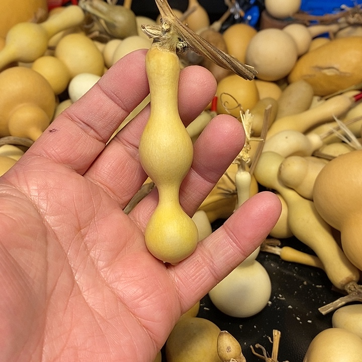 豆*阿精品葫芦手把葫芦127