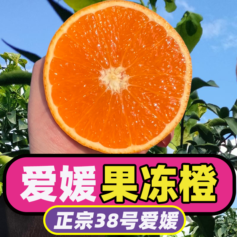 正宗四川爱媛38号果冻橙新鲜孕妇水果整箱包邮nq