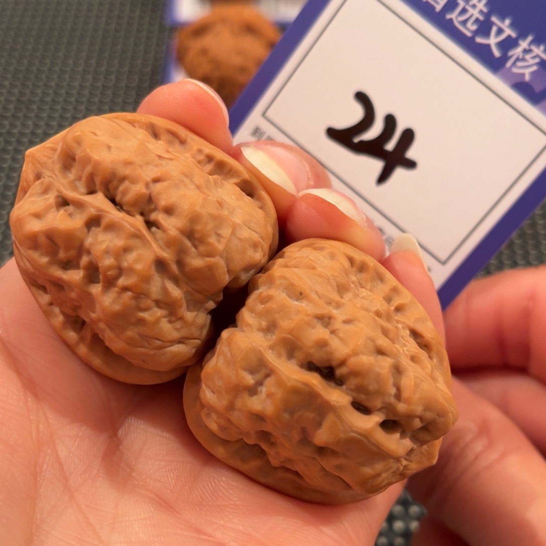 核桃24号3.6蛤蟆头