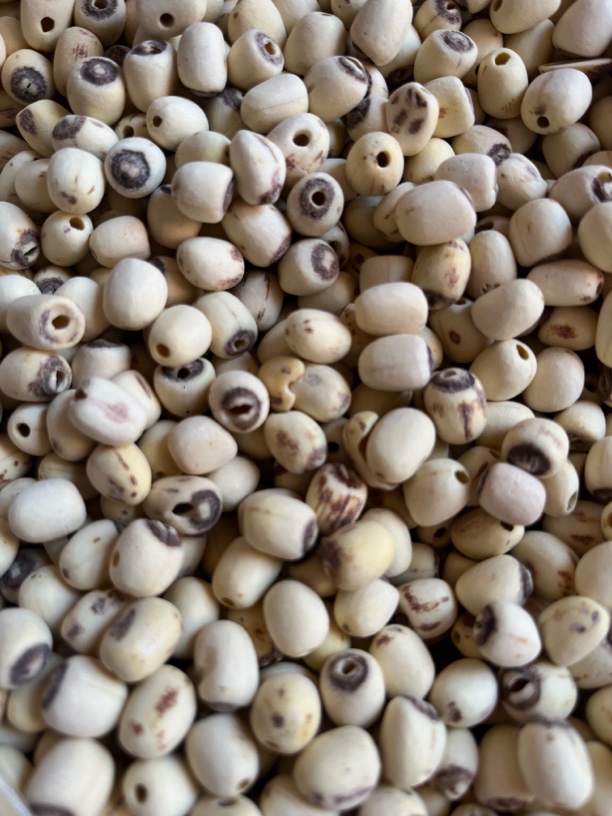 农家种植无硫去芯白莲干货颗粒饱满营养丰富炖汤优选