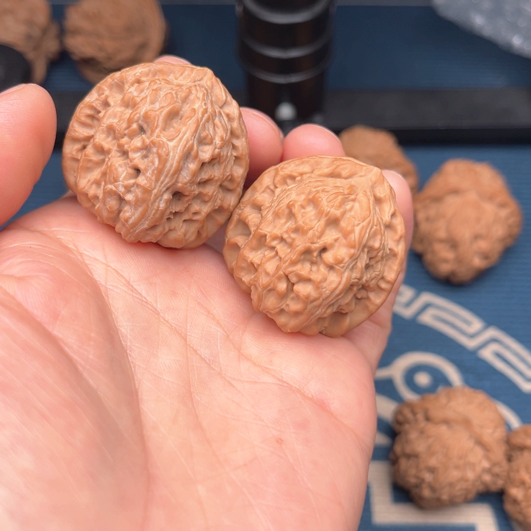 文玩核桃把件白狮子