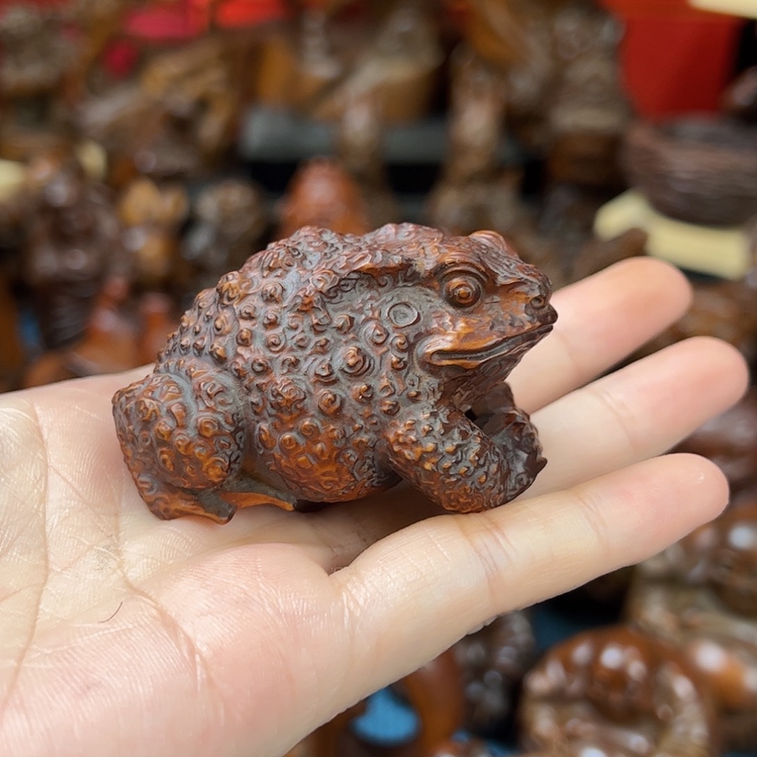 黄杨木小叶黄杨木