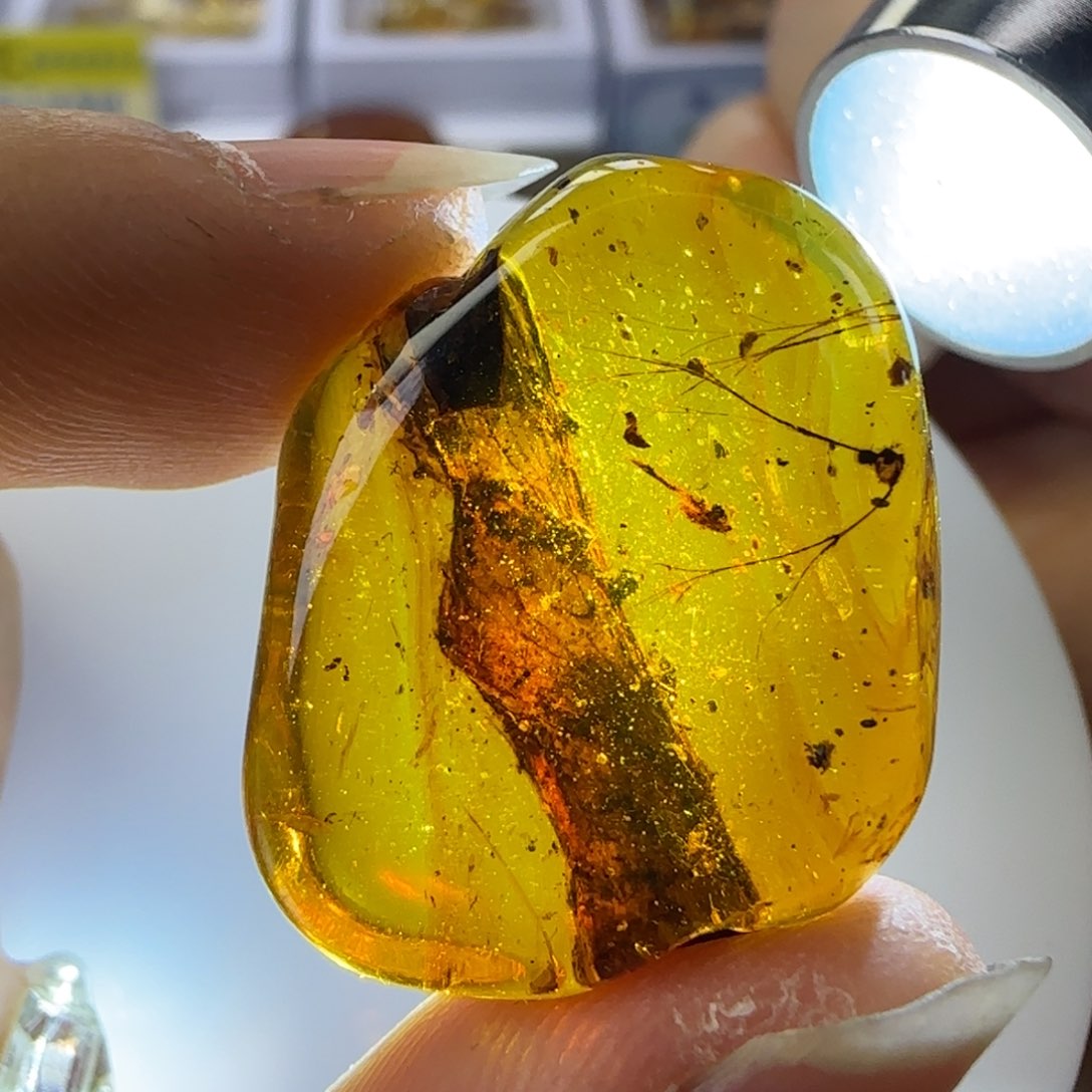 琥珀裸石未镶嵌植物