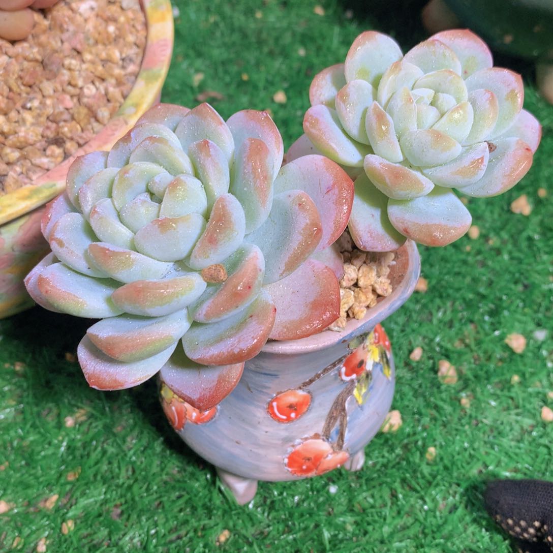 氢****发冰玉12 公分一物一拍