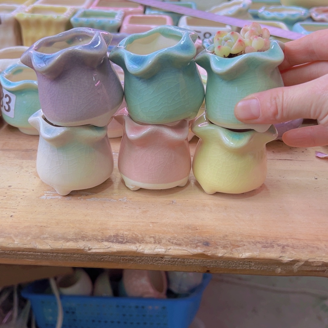 陶瓷花盆当场凑满12包邮