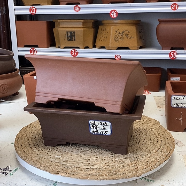 紫砂花盆今天下午