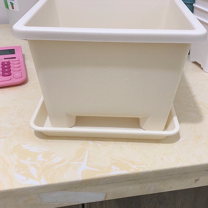 方球根口27米白5个带托