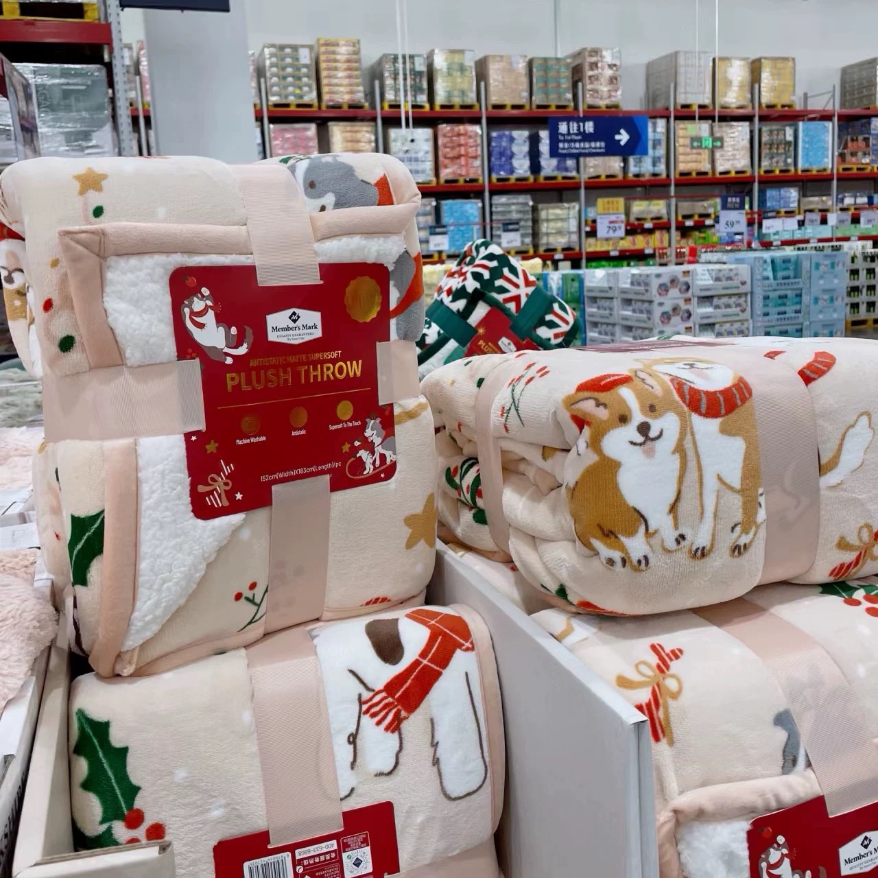 ZQ飞行毯羊羔绒贵妃加厚午睡空调毯加绒午睡毯 不挑颜色