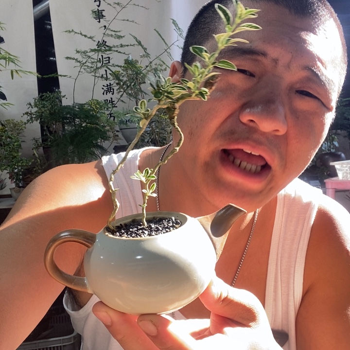 无花朵退款拉黑拉黑62