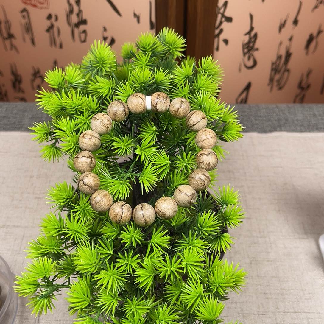 木天然巴布亚。。。。。。。。。。