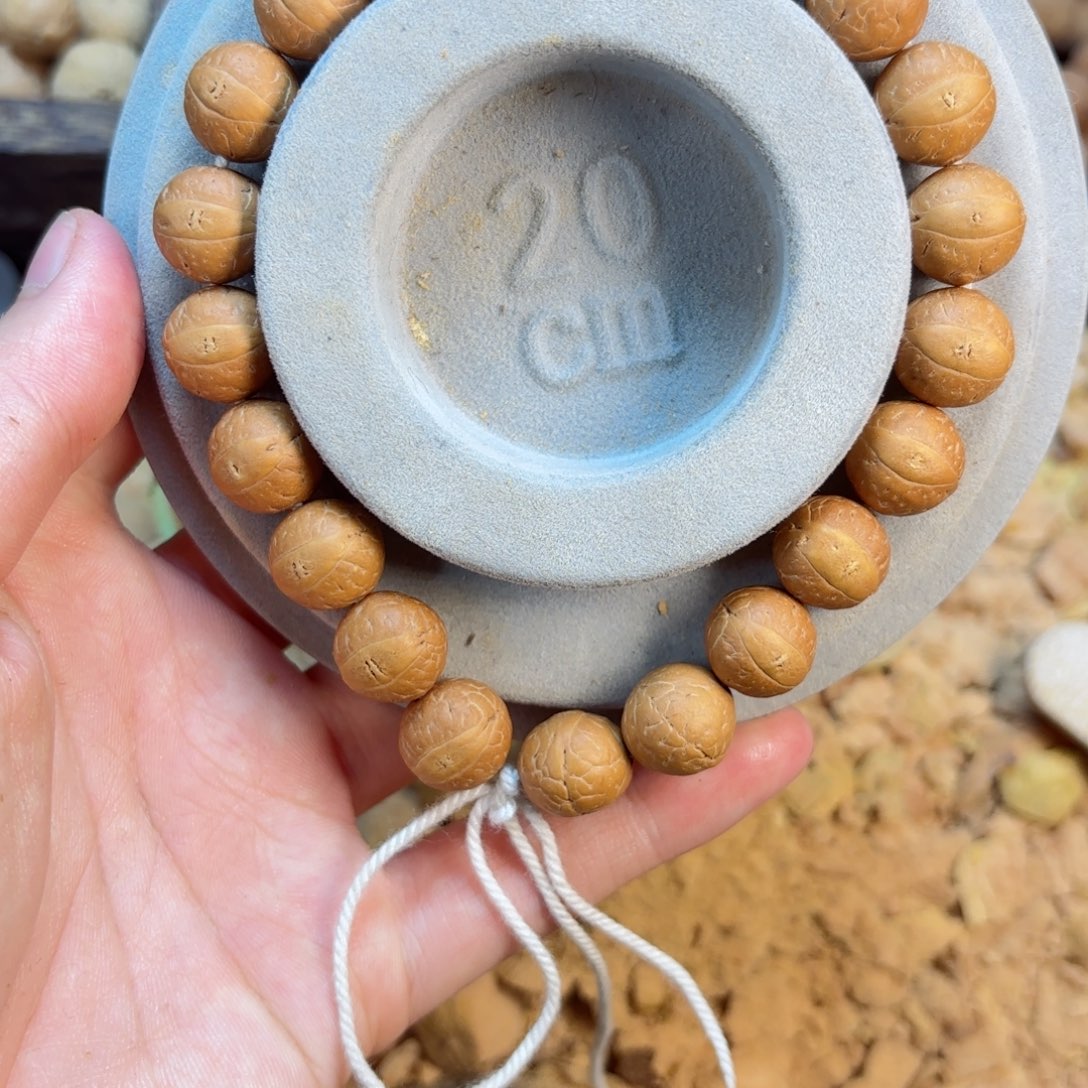 凤眼菩提吊坠12小尼泊尔凤眼2