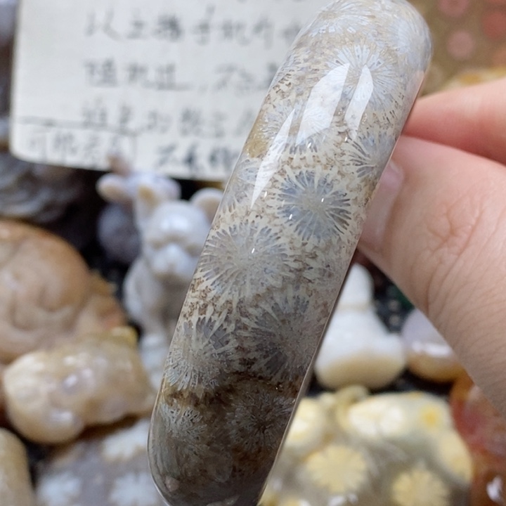 硅化珊瑚（珊瑚玉）颈饰未镶嵌54