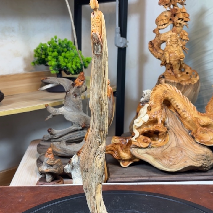 柏木（崖柏）cvbvvbhhb