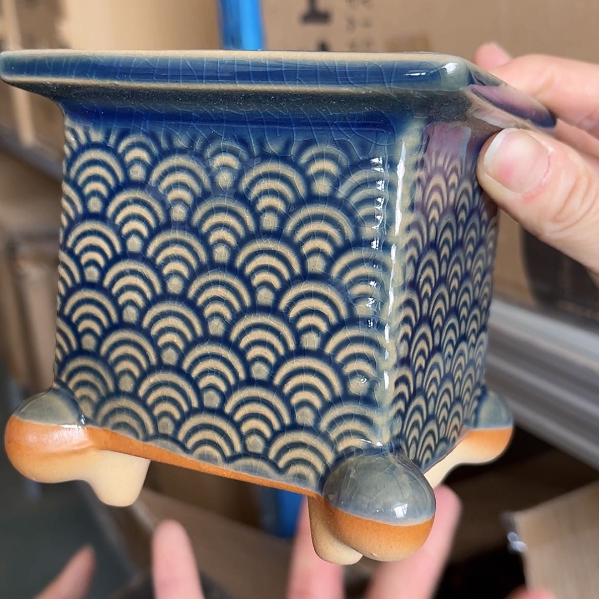 【闪购商品】红陶福利